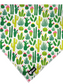 Foulard - Arizona