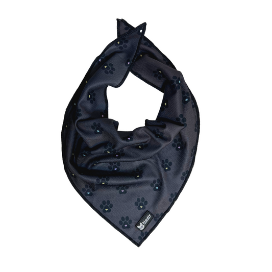 Foulard - Zampaw